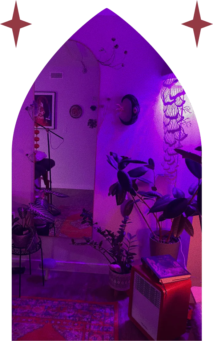 Cozy purple-lit room with plants, a large arched mirror, a framed dog picture, and a small heater topped with books.