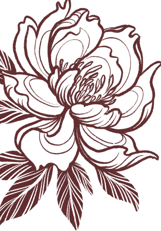 Dark red line drawing of a blooming peony flower with detailed petals and leaves on a transparent background.