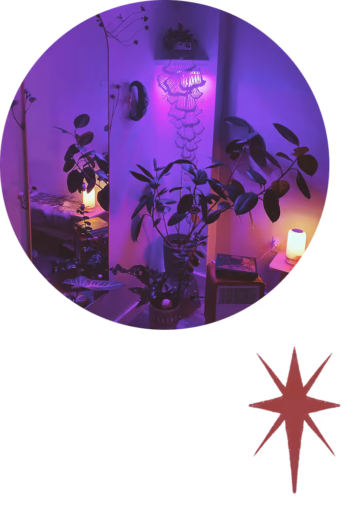 Indoor plants illuminated by purple and orange ambient lighting in a cozy corner with a wall decoration and a small heater.