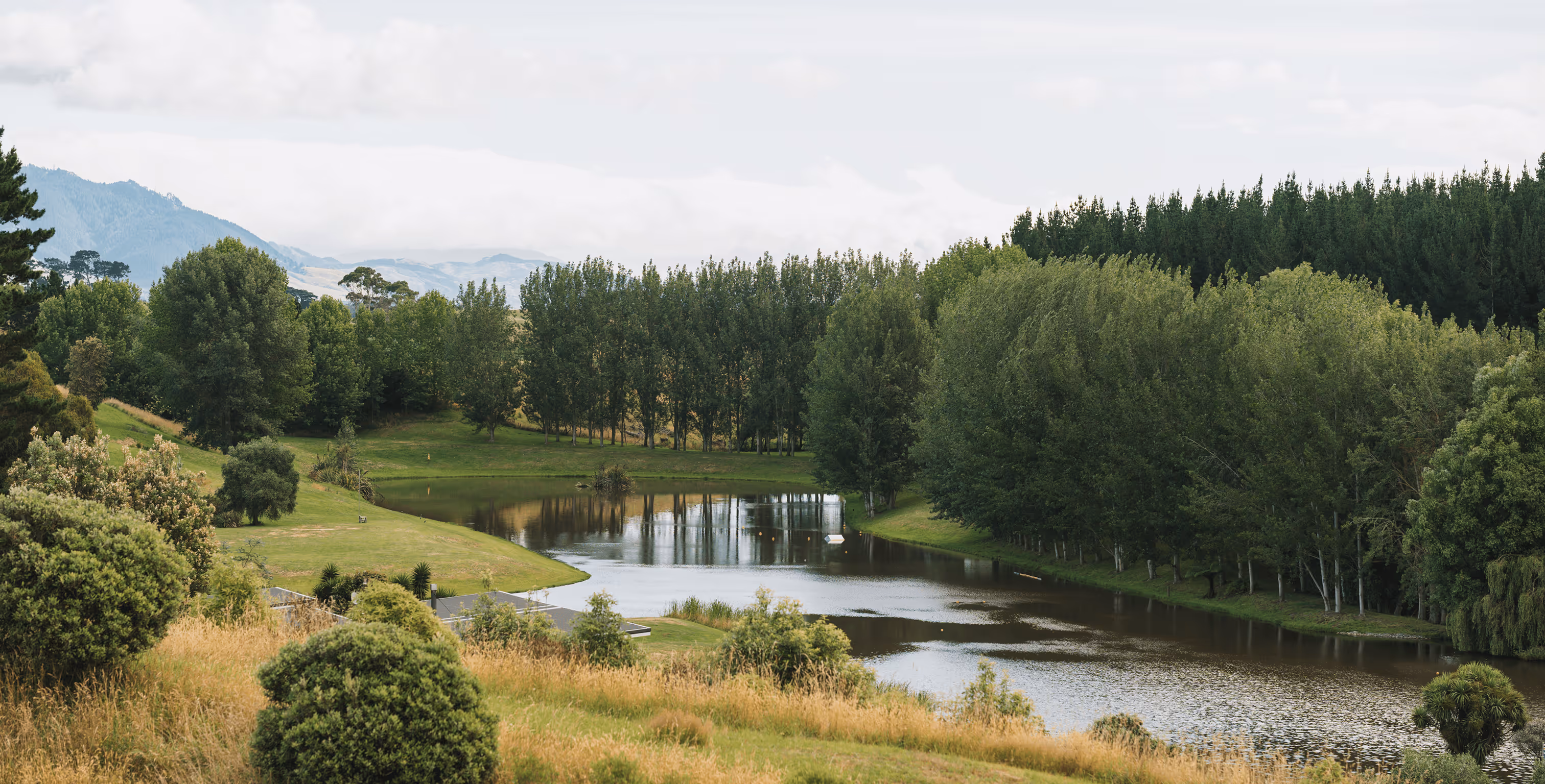 Calm river surrounded by dense green trees and grassy fields with distant hills under a cloudy sky.