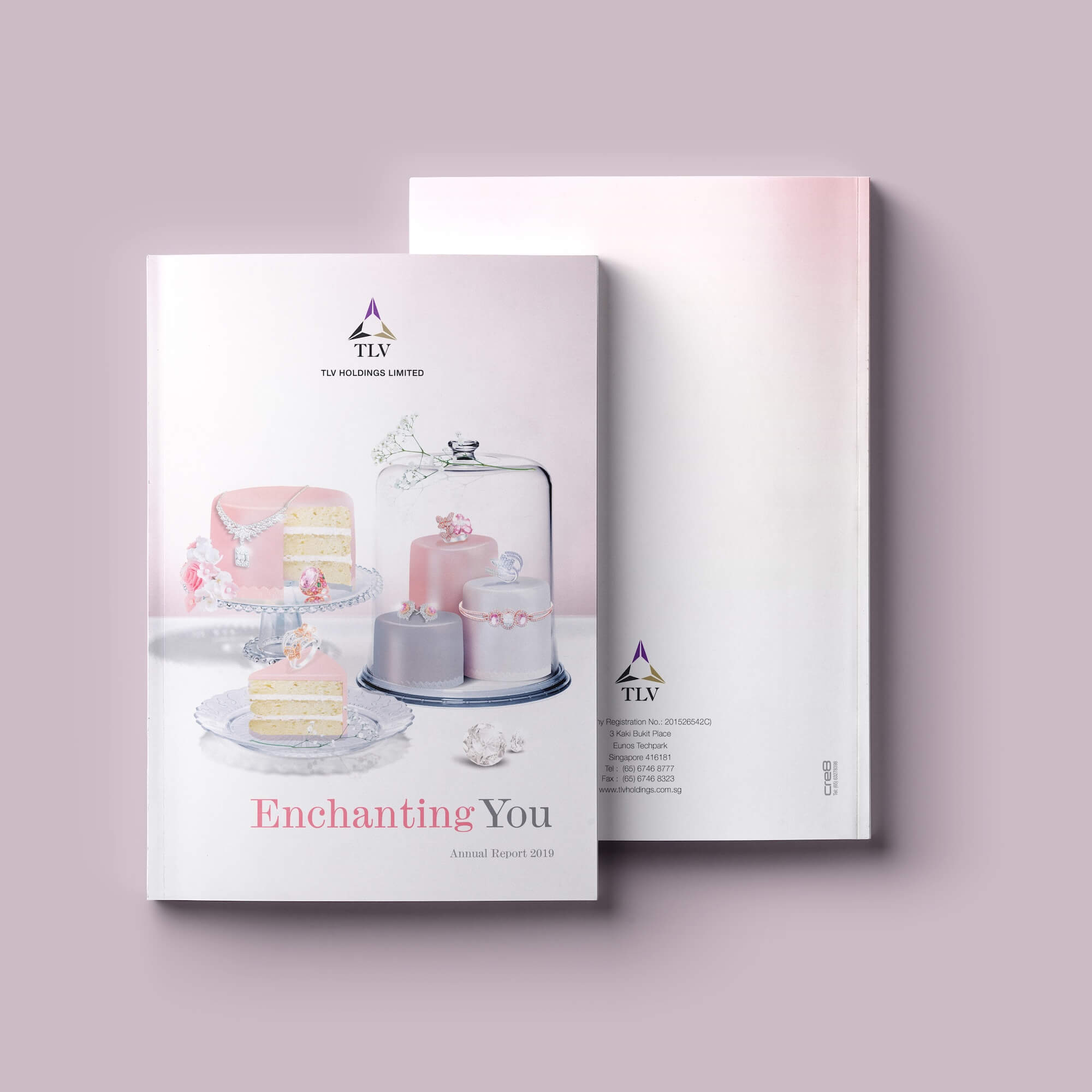 Editorial design for TLV Holdings - Cover mockup