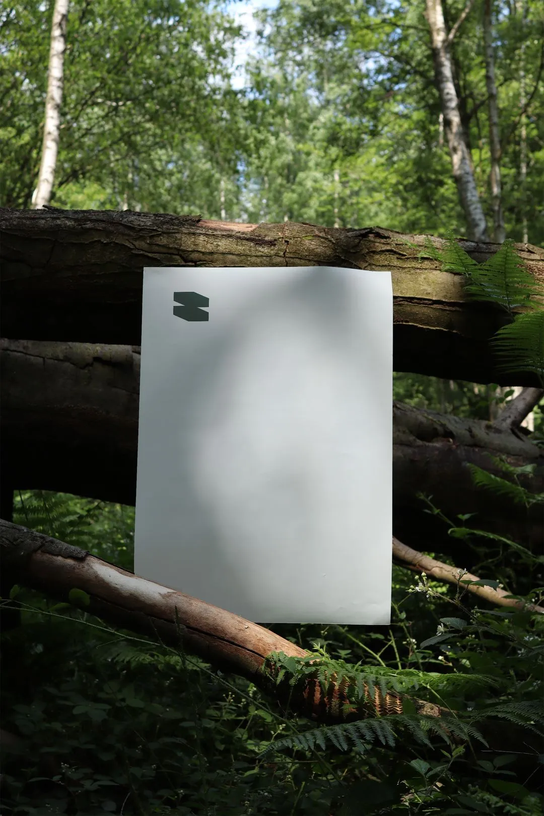 A white piece of paper sitting on top of a forest floor.
