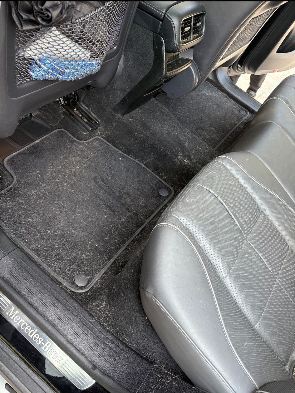 Hyundai vehicles serviced by Detail Me GTA mobile car detailing Toronto

