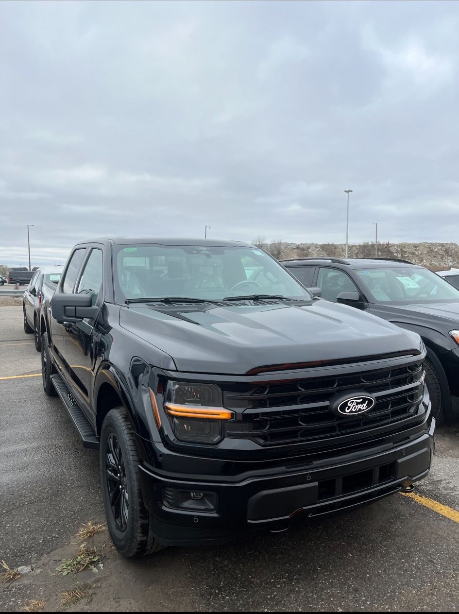 Ford vehicles serviced by Detail Me GTA Toronto car detailing