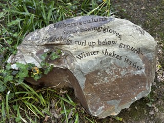 A beaver drinking water from a pond in a forest with a woman crouching nearby and a metal animal trap cage beside her.