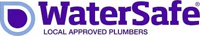 Local, Trusted Leak Detection Specialists
