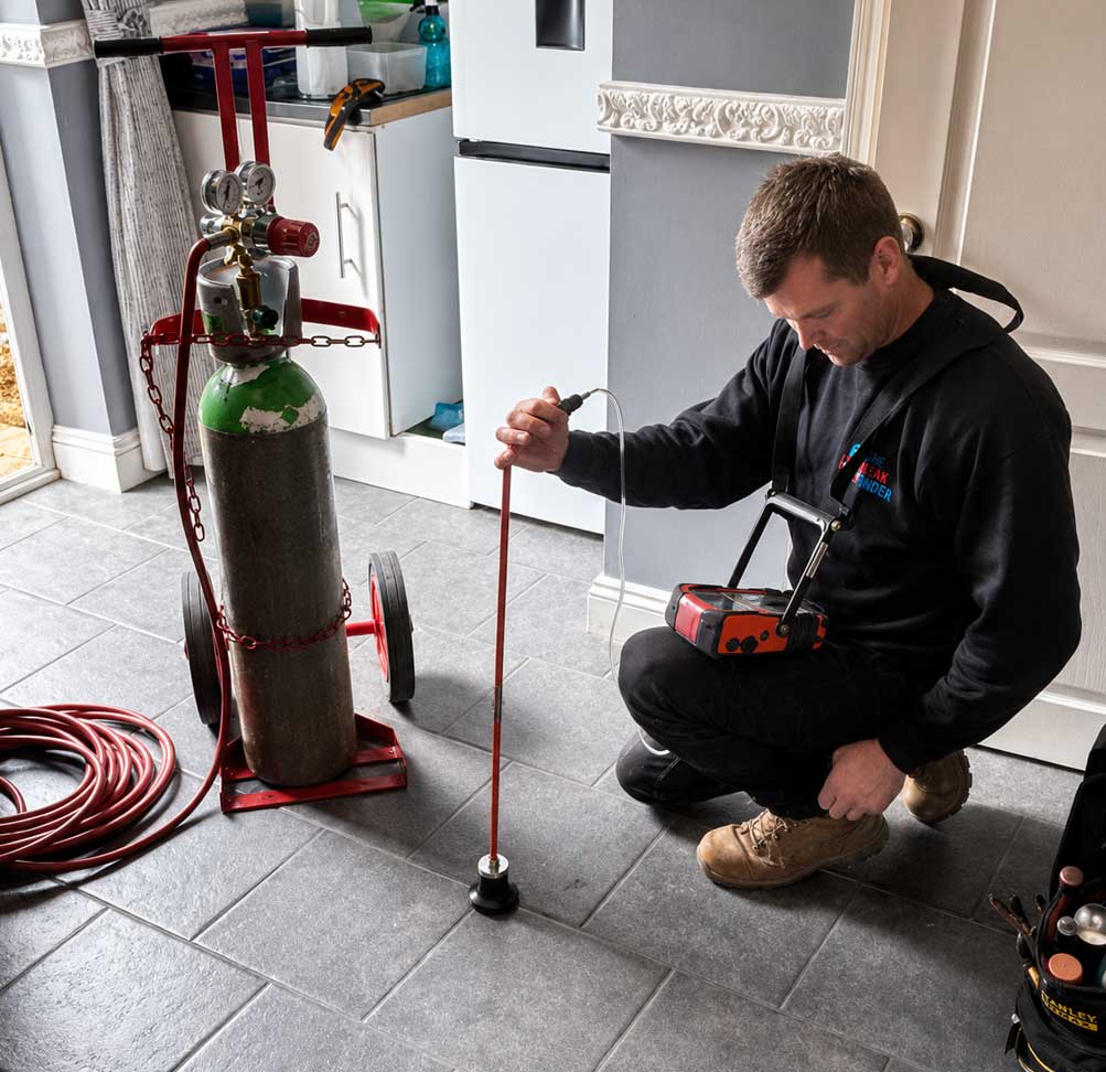Local, Trusted Leak Detection Specialists