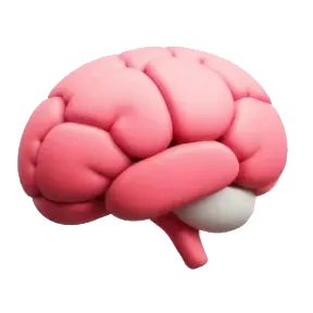 Eine 3D Illustration eines Hirns.