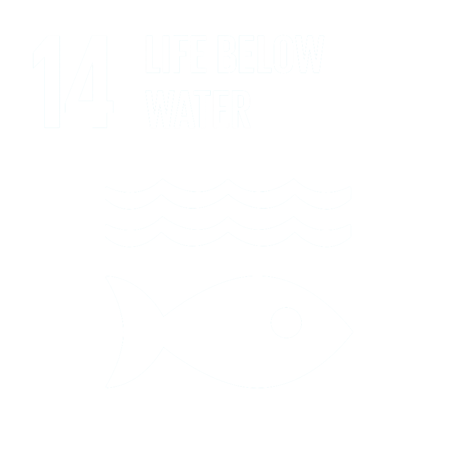 UN Sustainable Development Goal 14 icon for Life Below Water in white outline