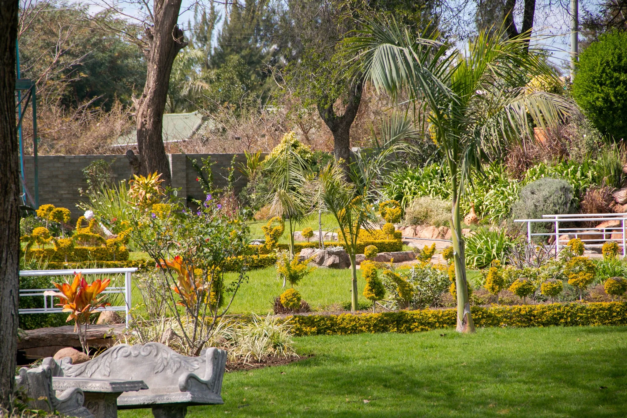 Sunlit garden with green grass, trimmed hedges, palm trees, flowering plants, and a stone bench and table.