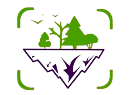Graphic of a floating island with various green trees and birds above, outlined by a green corner frame.