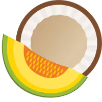 Half a coconut with a melon next to it