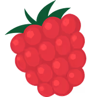 a whole raspberry