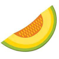 a slice of melon