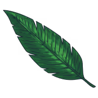 A green leaf symbolizing health