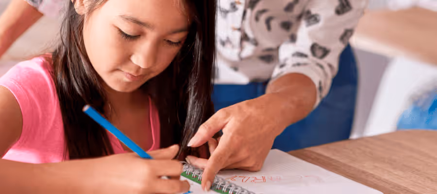 Illustration Découvrez notre dépliant à destination des enseignants