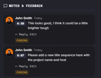 Video Manager Interface