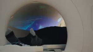 tesla-vision-loop