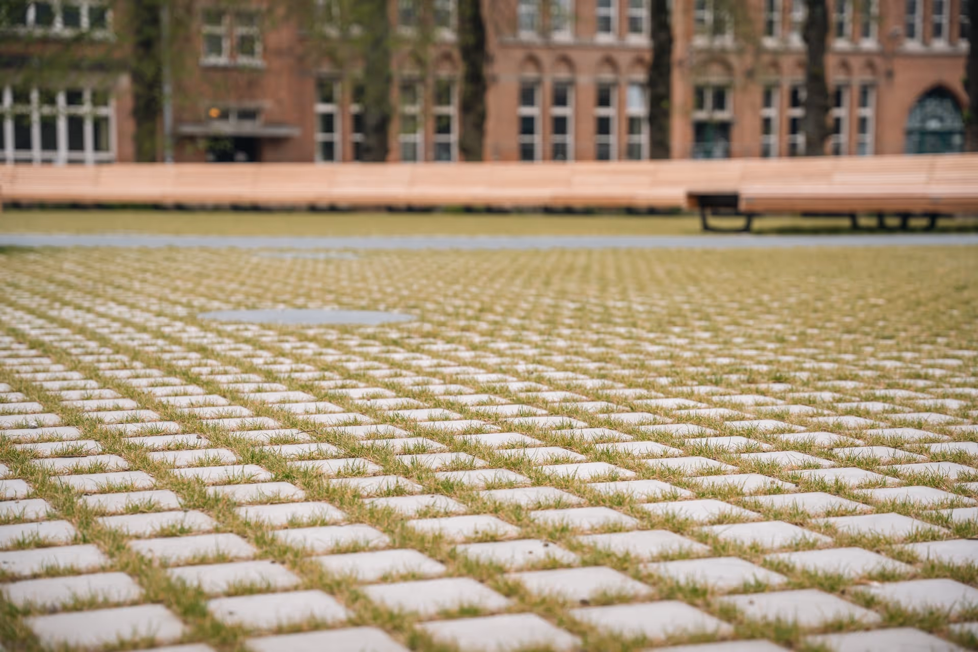 Een terras met rijen stenen tegels en gras ertussen, met op de achtergrond een bakstenen gebouw en bankjes.