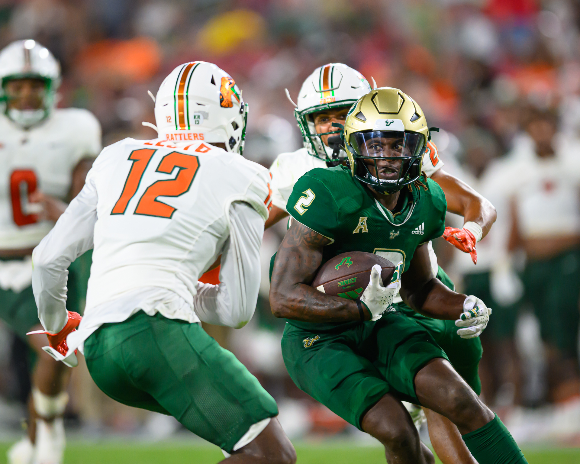 Florida A&M Rattlers vs. South Florida Bulls: FAMU's Struggle in Tampa