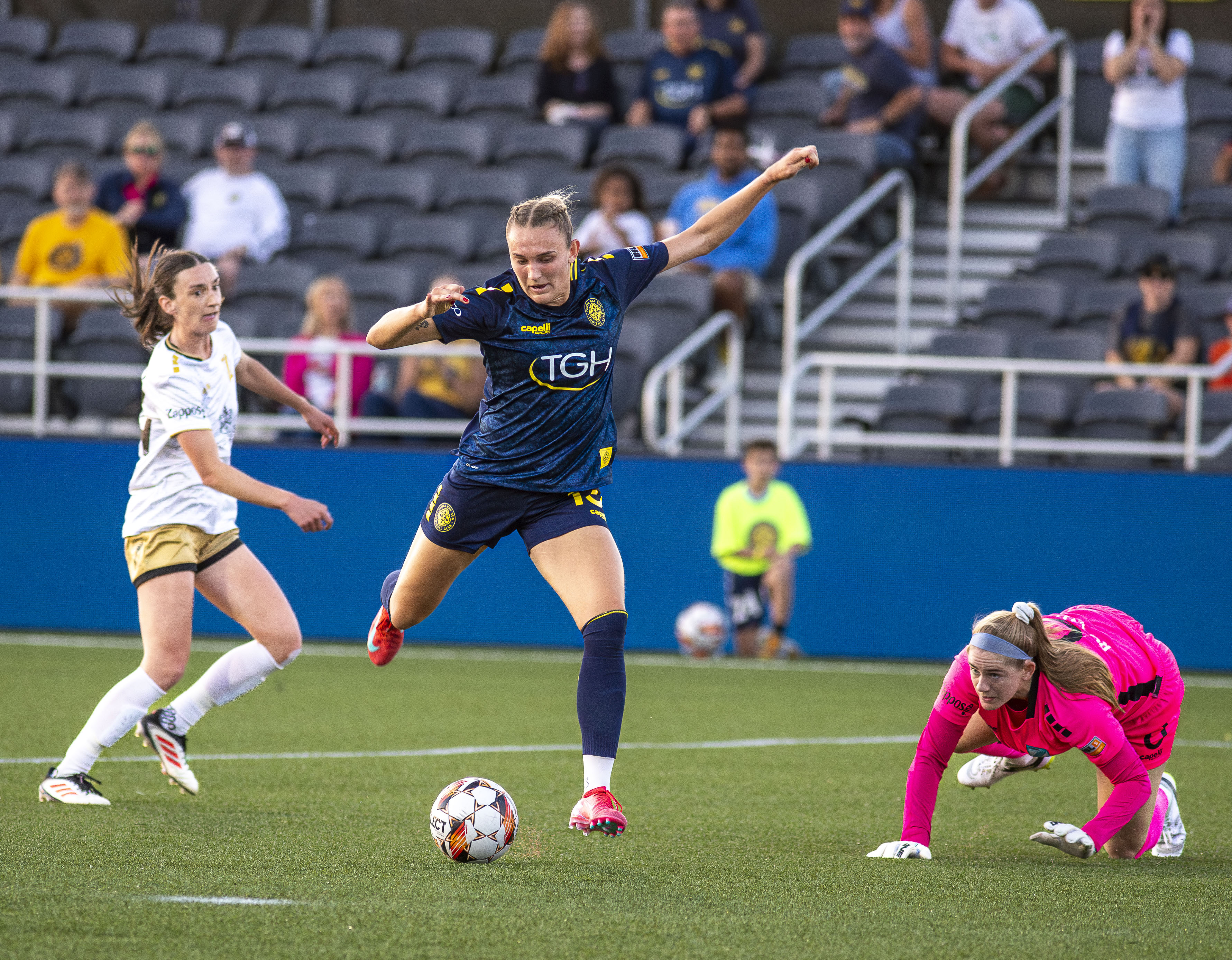 Tampa Bay Sun Clinch Playoff Berth, Set Stage for High-Stakes Regular Season Finale