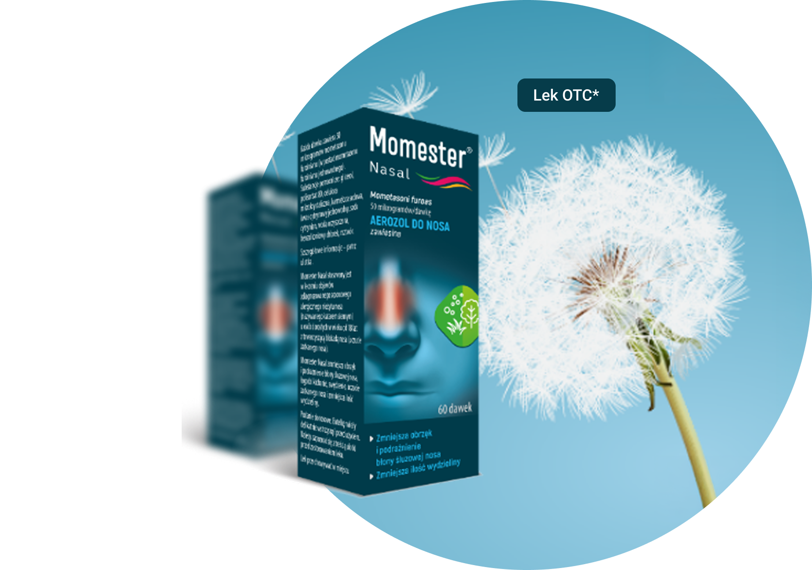 Momester® Nasal – baner główny