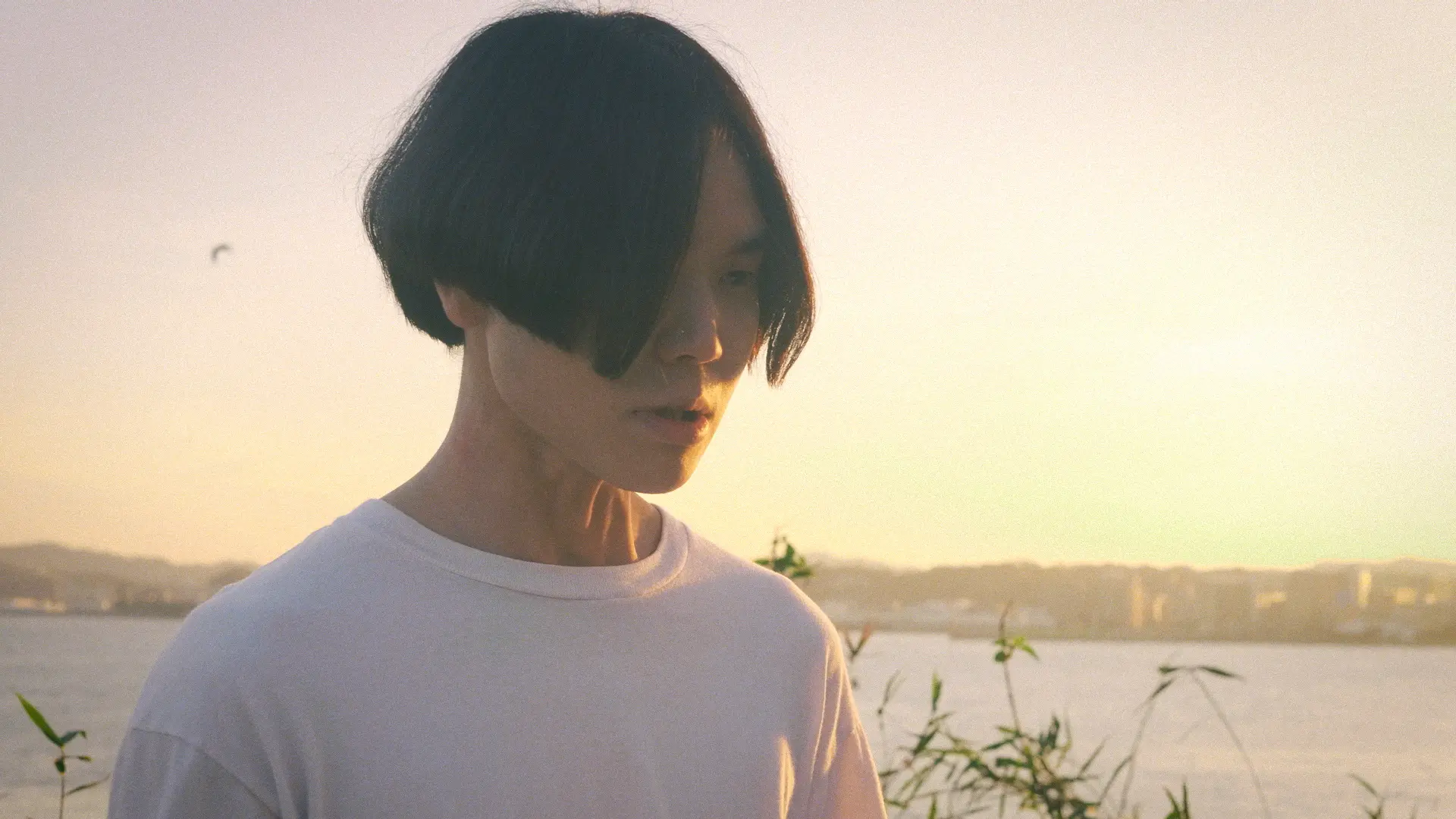 ショートフィルム｜命が笑っている