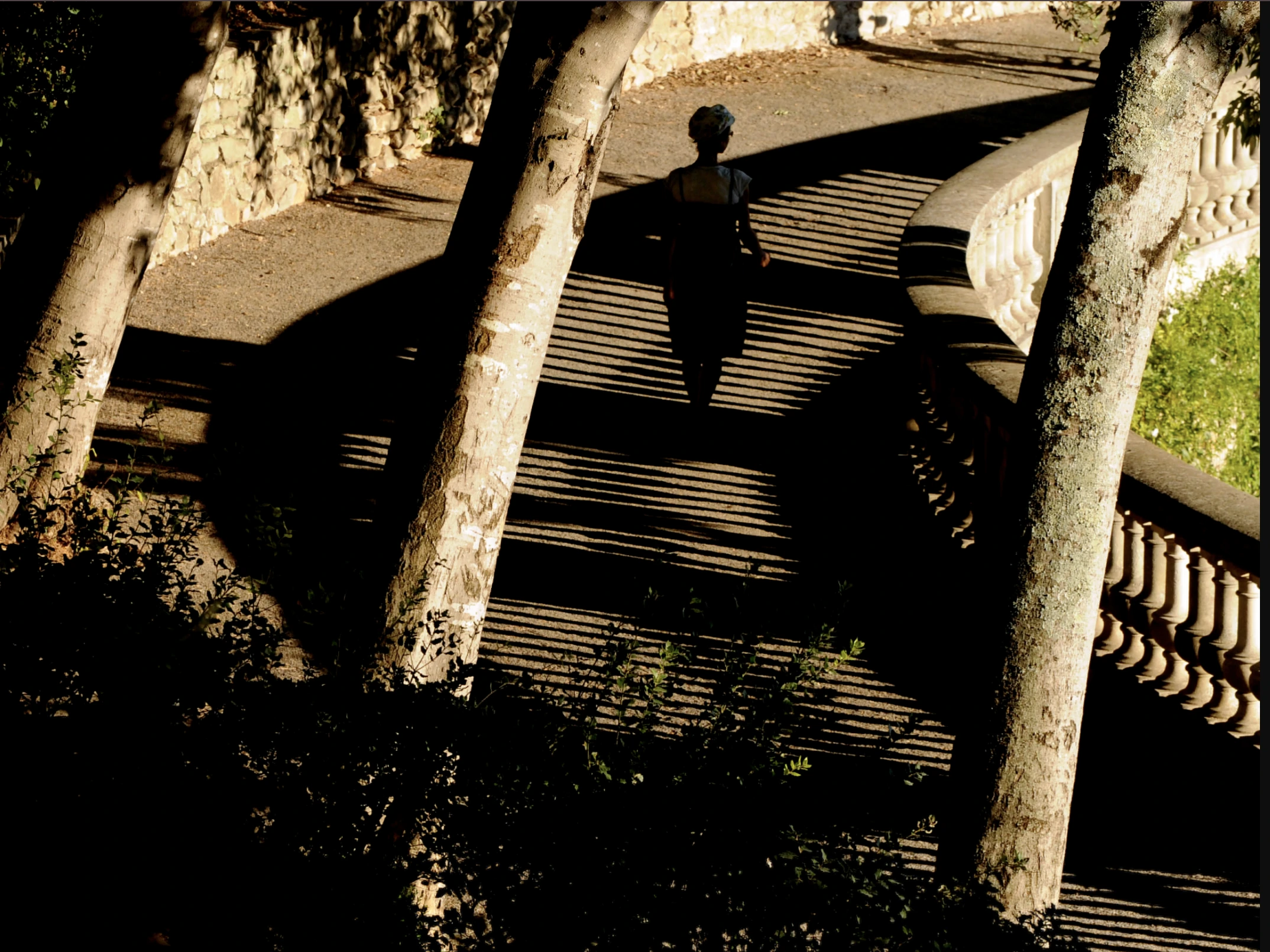 Parcours professionnels : C comme Ce qui compte