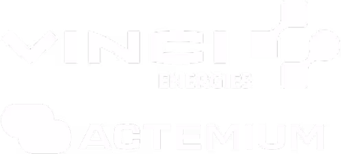 vinci logo