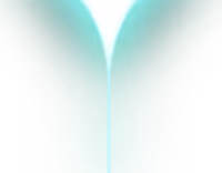 vector pattern image