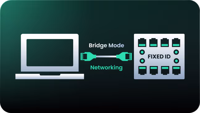 Bridge mode networking schema