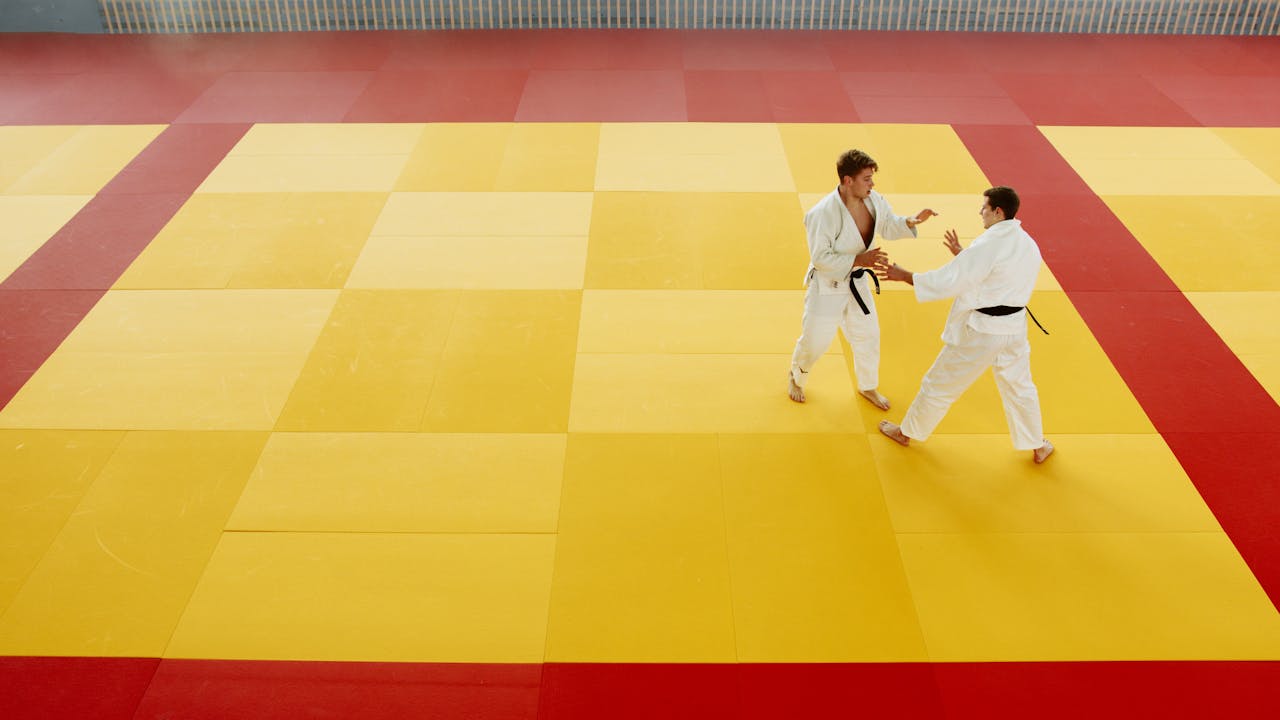 Two martial artists practicing techniques on colored mats in a dojo training session