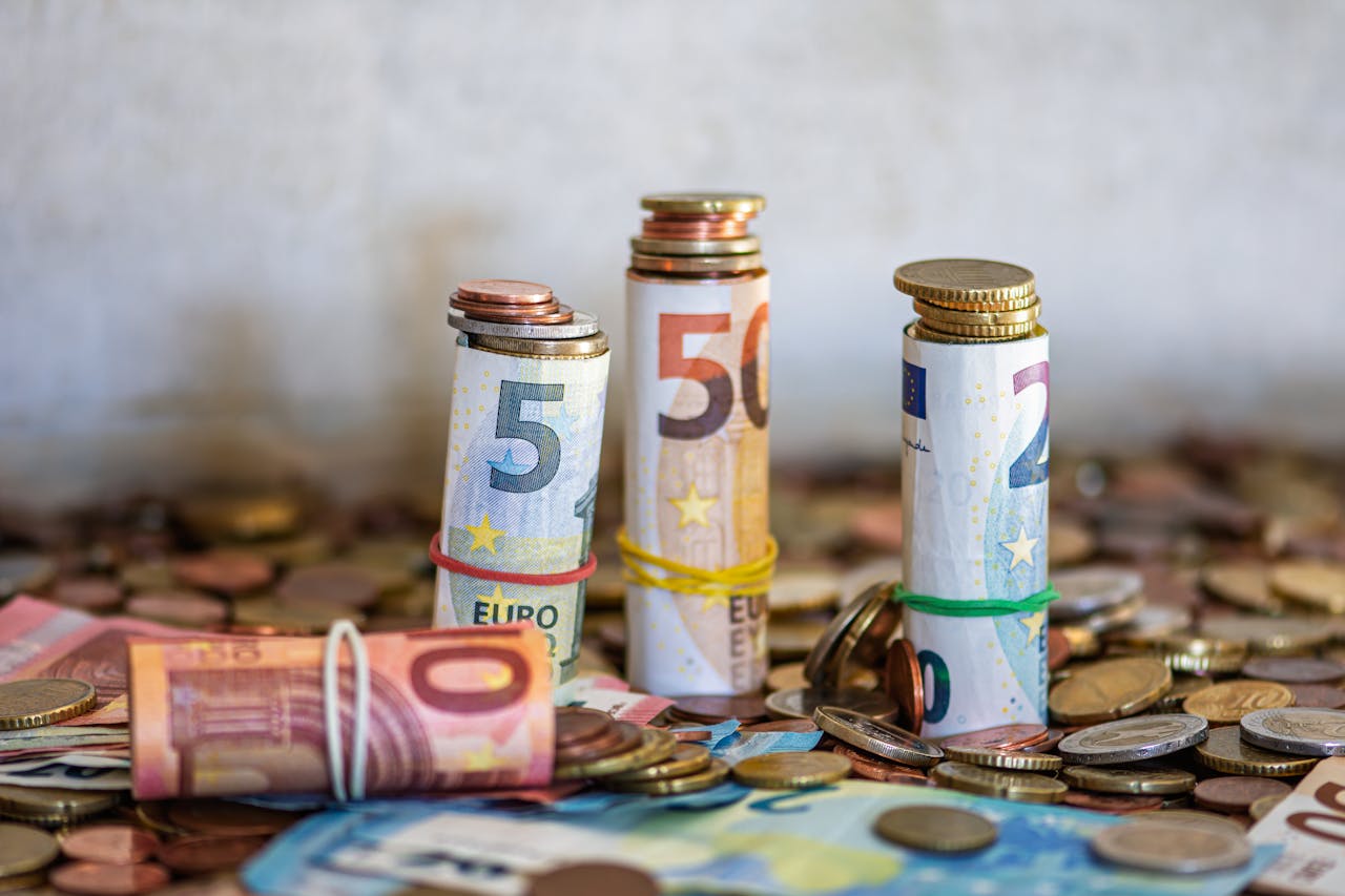 Pile of Euro banknotes and coins representing the recurring tuition revenue that flows through a martial arts dojo every month