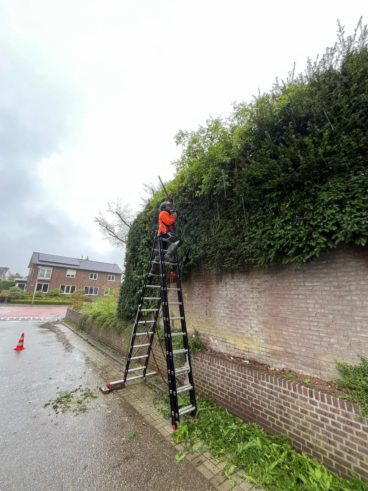 Tuinonderhoud