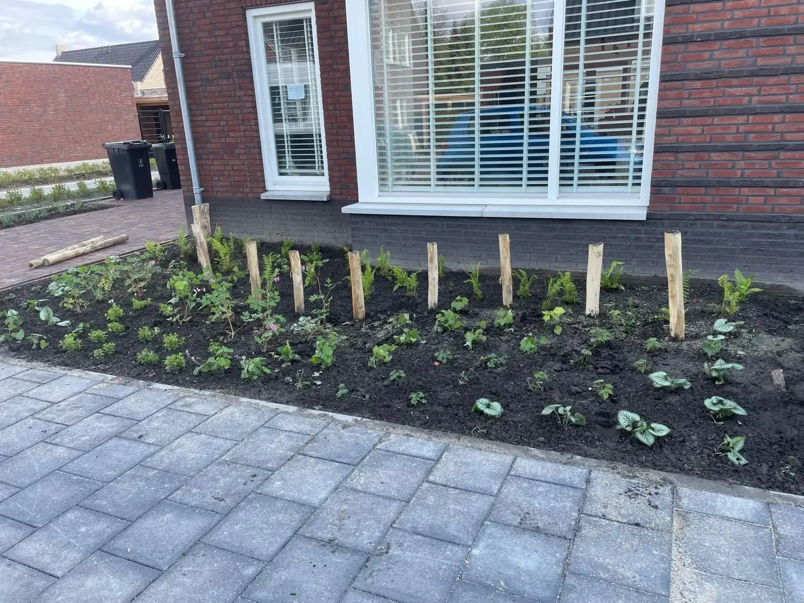 Tuinonderhoud