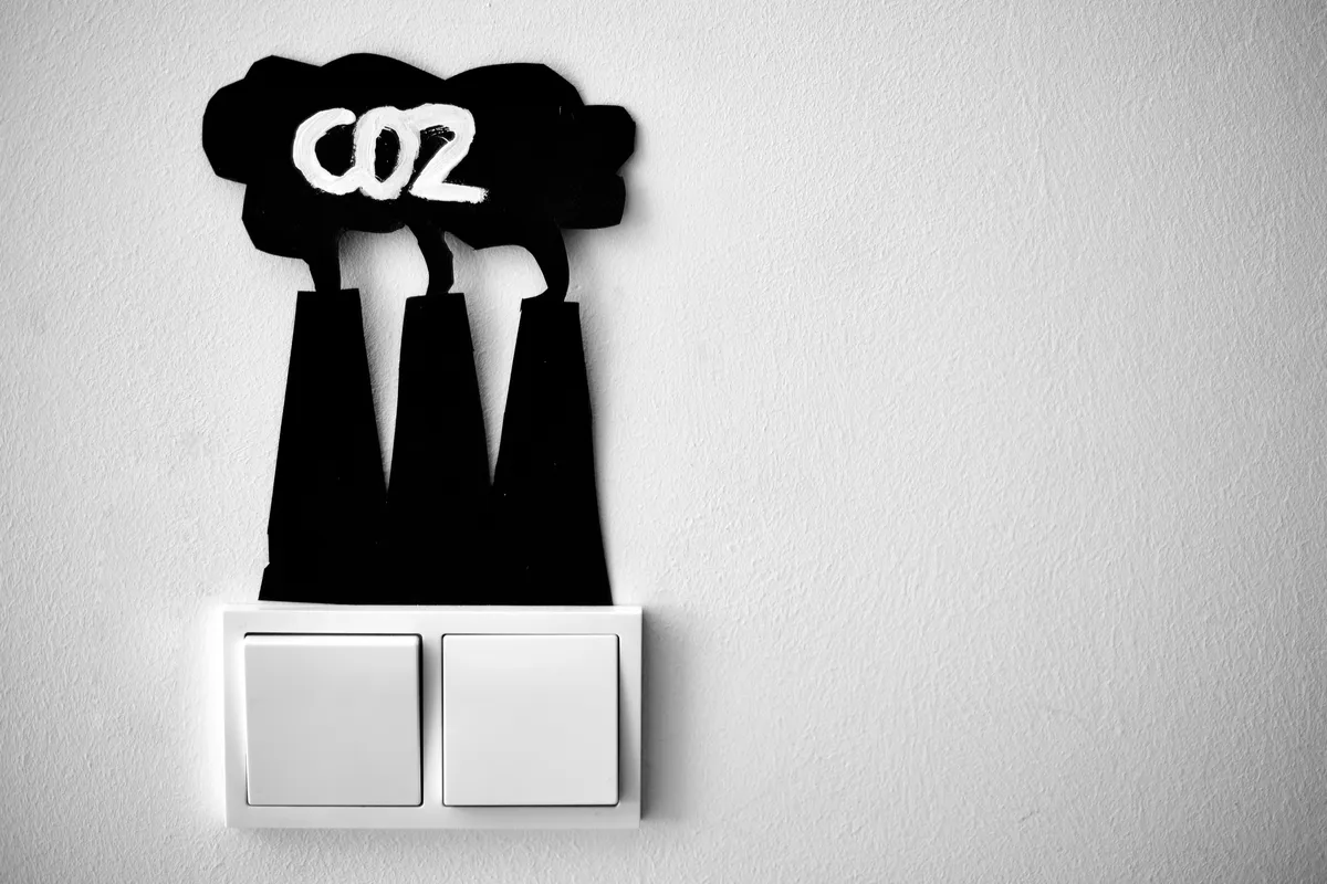 Single Blog Image