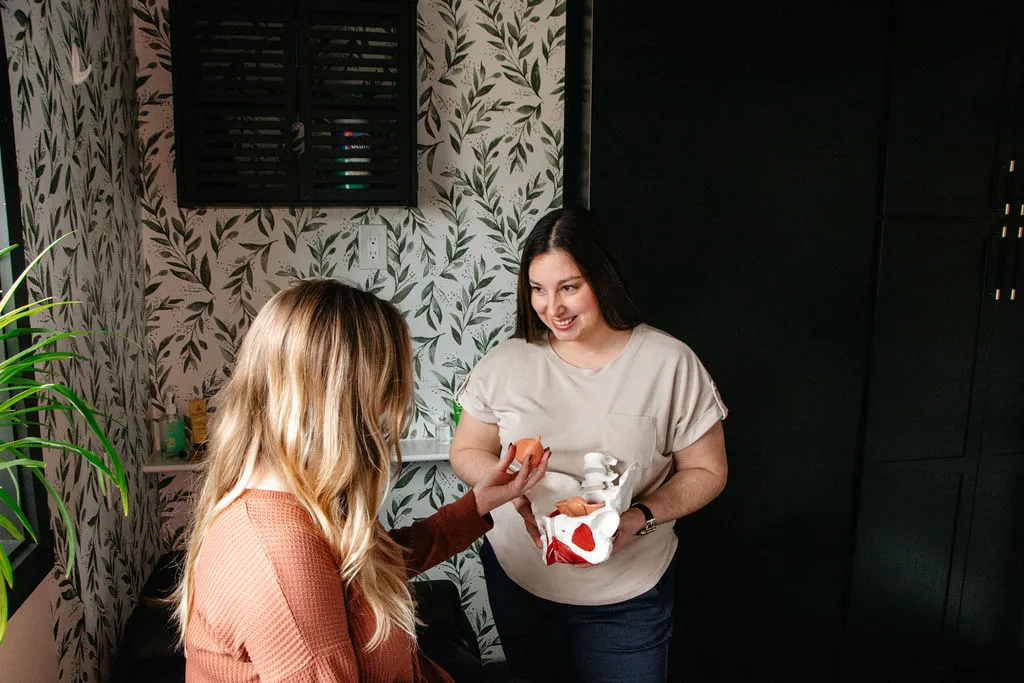 Woman explaining female pelvic anatomy to another woman using a model in a leafy wallpapered room.