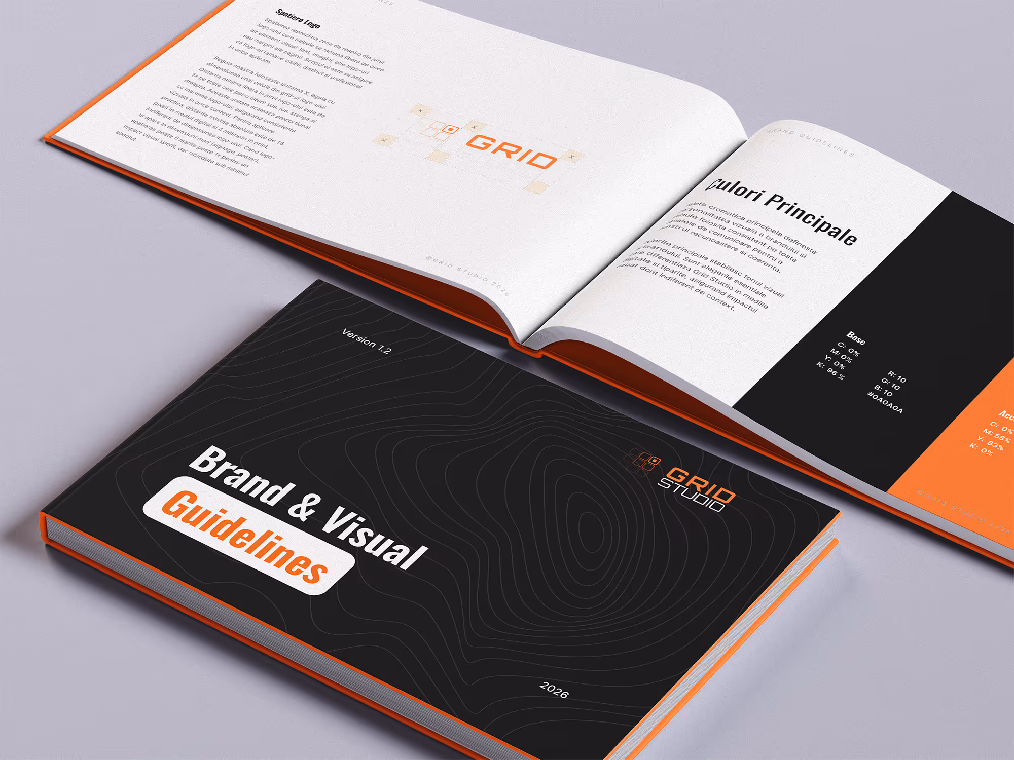 culori principale si logo spatiere branding