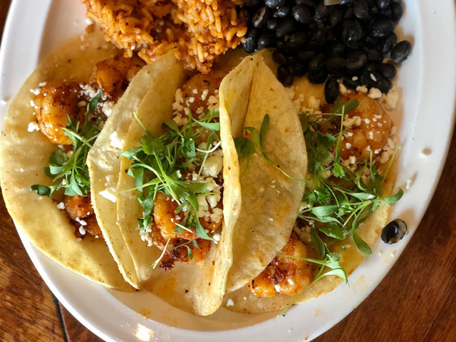 Shrimp Tacos