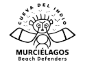 Logo de murcielago beach defenders