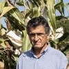 Pedro Revilla