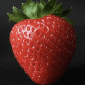 Strawberry Robotics logo