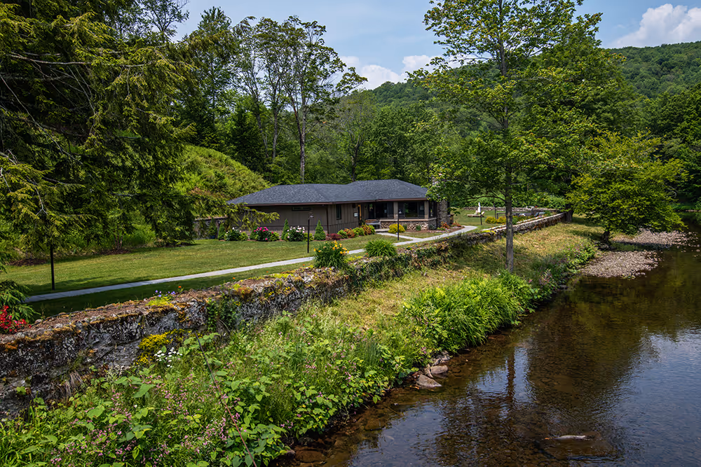 Single-story house with a dark roof surrounded by trees and greenery beside a clear stream with a stone wall in front.