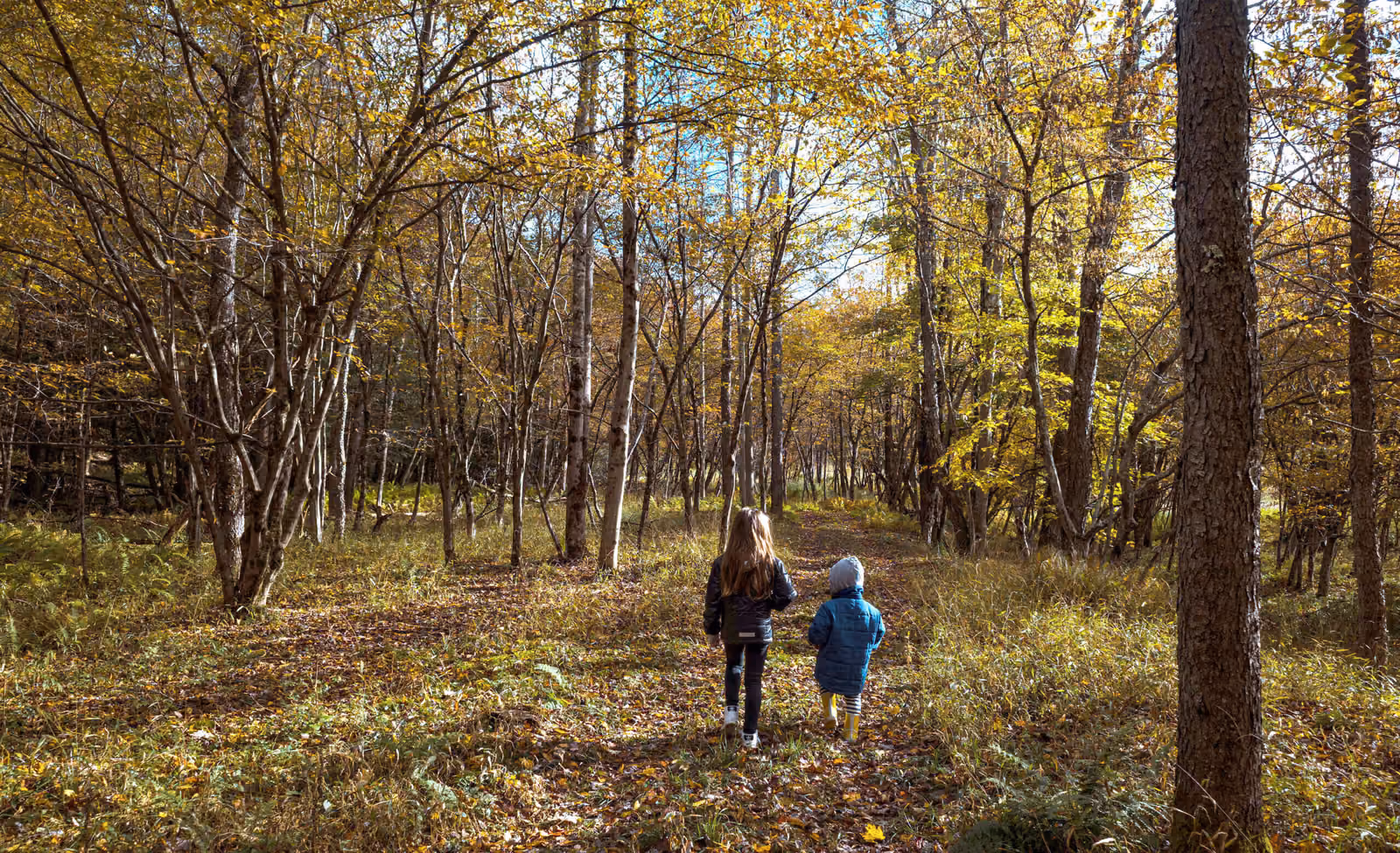Two children walking on a leaf-covered forest trail surrounded by autumn trees with yellow and green foliage.