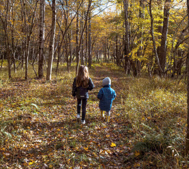 Two children walking on a leaf-covered forest path surrounded by tall trees with autumn foliage.
