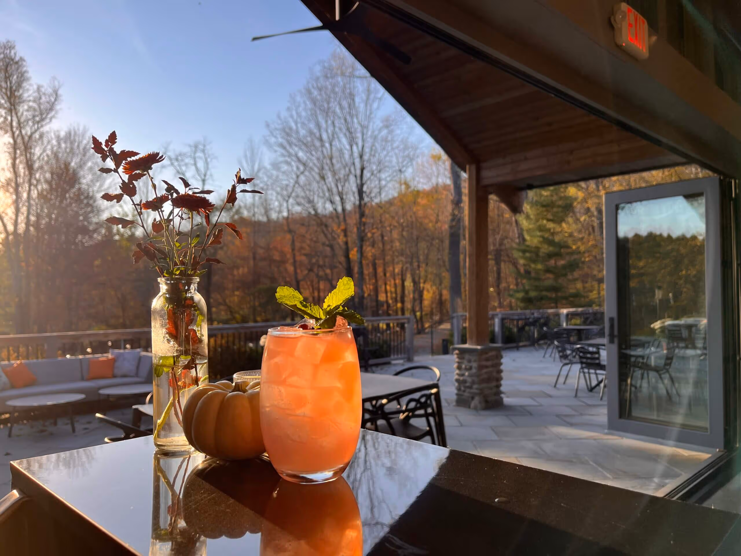 Iced pink cocktail garnished with mint on a table next to a small pumpkin and a vase with flowers, with an outdoor patio and autumn trees in the background.