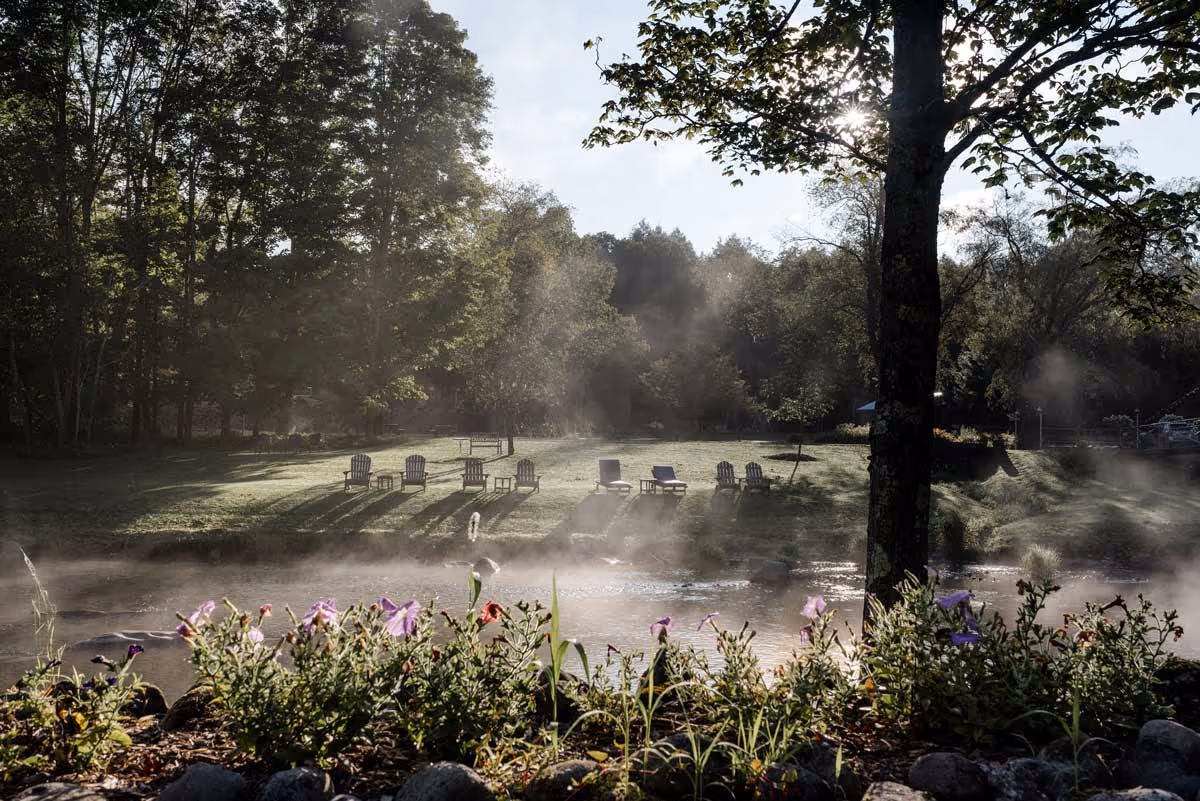 Mist rising over a riverbank with flowers, trees, and empty chairs in early morning sunlight.