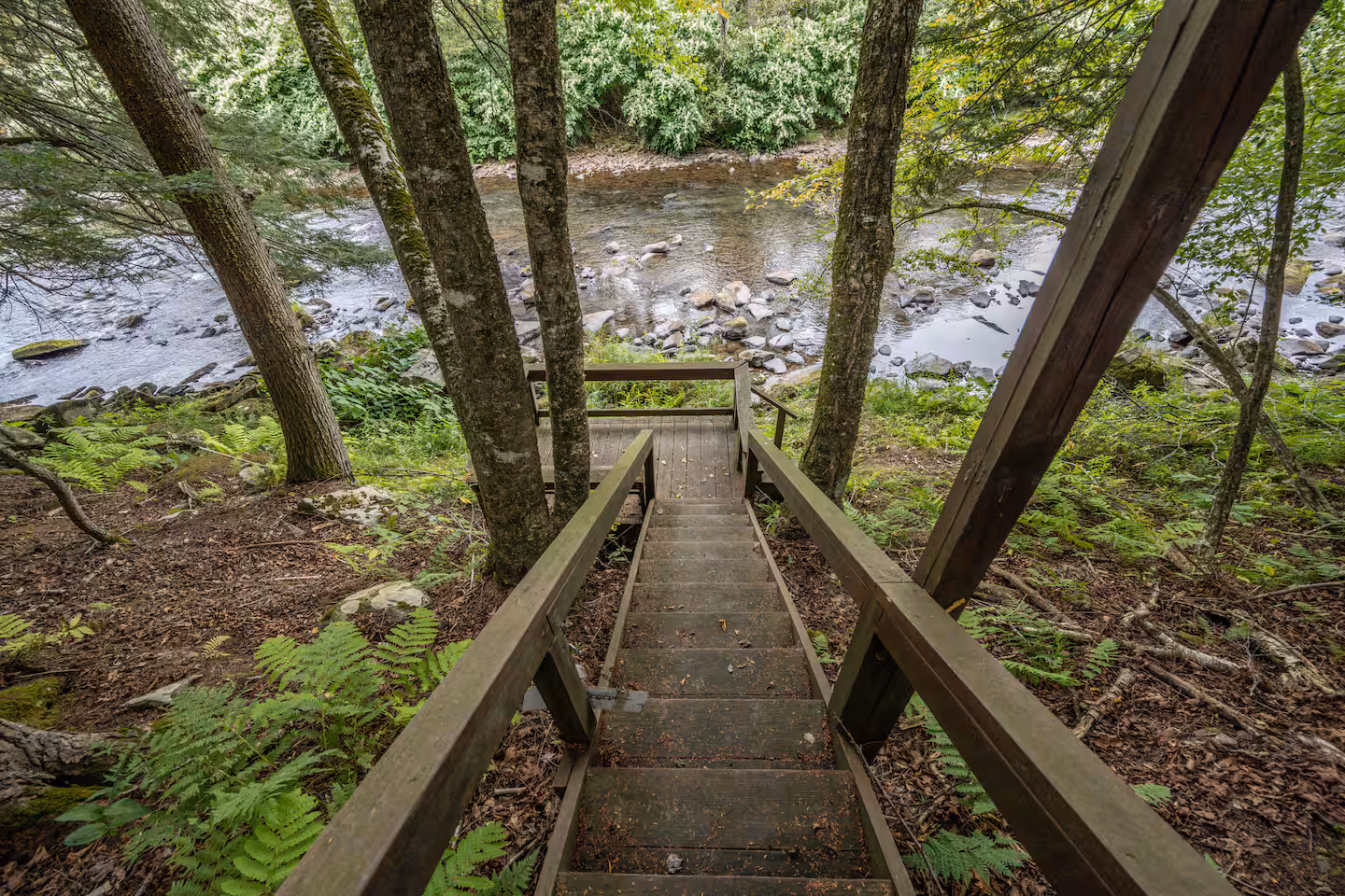 Wooden stairs with rails descending through forest greenery to a rocky stream below.