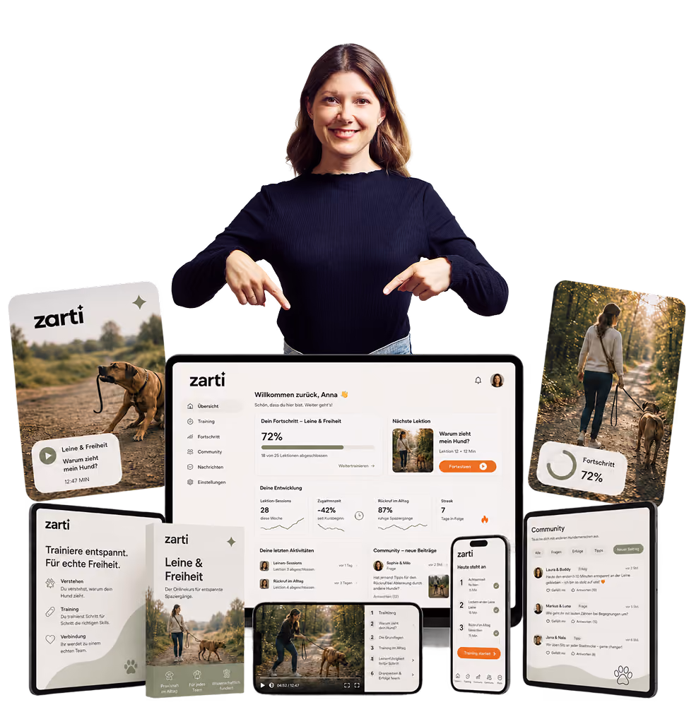 Ein Mockup. Anna zeigt auf die Kursinhalte.