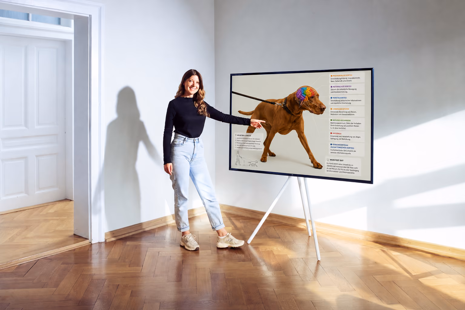 Hundetrainerin Anna zeigt auf einer Infografik, was im Gehirn eines Hundes passiert, wenn er an der Leine zieht